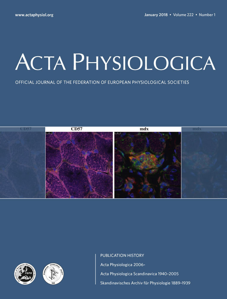 Mind the gap: mechanisms regulating the endothelial barrier