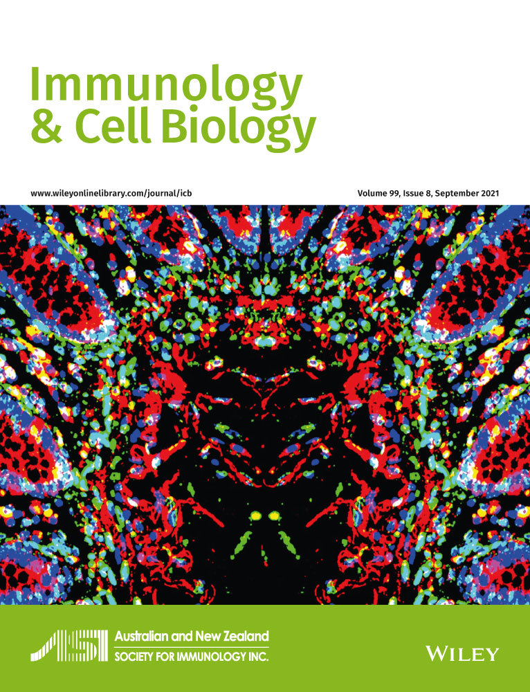 Comprehensive immune cell profiling depicts an early immune response associated with severe COVID‐19 disease in cancer patients
