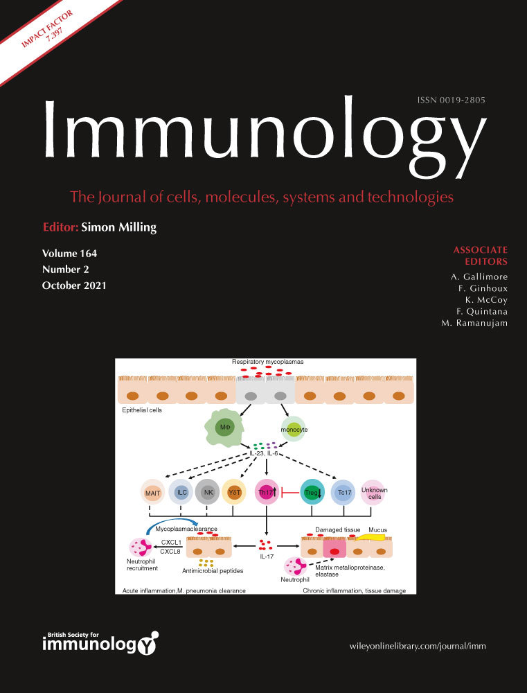 LNA‐Oligonucleotide mediates an anti‐inflammatory effect in autoimmune myocarditis via target of lactate dehydrogenase B
