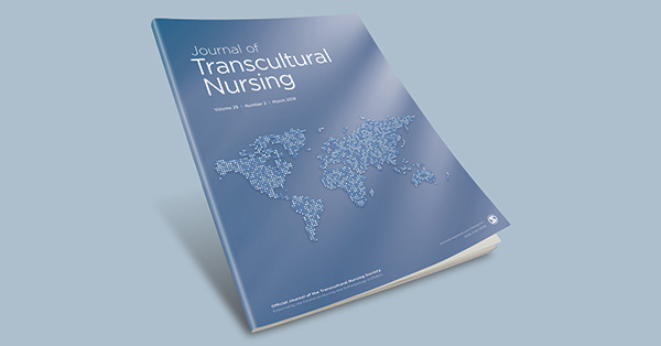 Transcultural Nurse Views on Culture-Sensitive/Patient-Centered Assessment and Care Planning: A Descriptive Study
