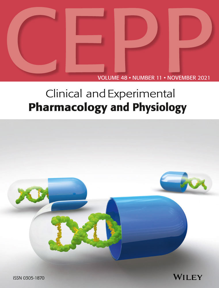Transcription factor EB enhances autophagy and ameliorates palmitate‐induced insulin resistance at least partly via upregulating AMPK activity in skeletal muscle cells