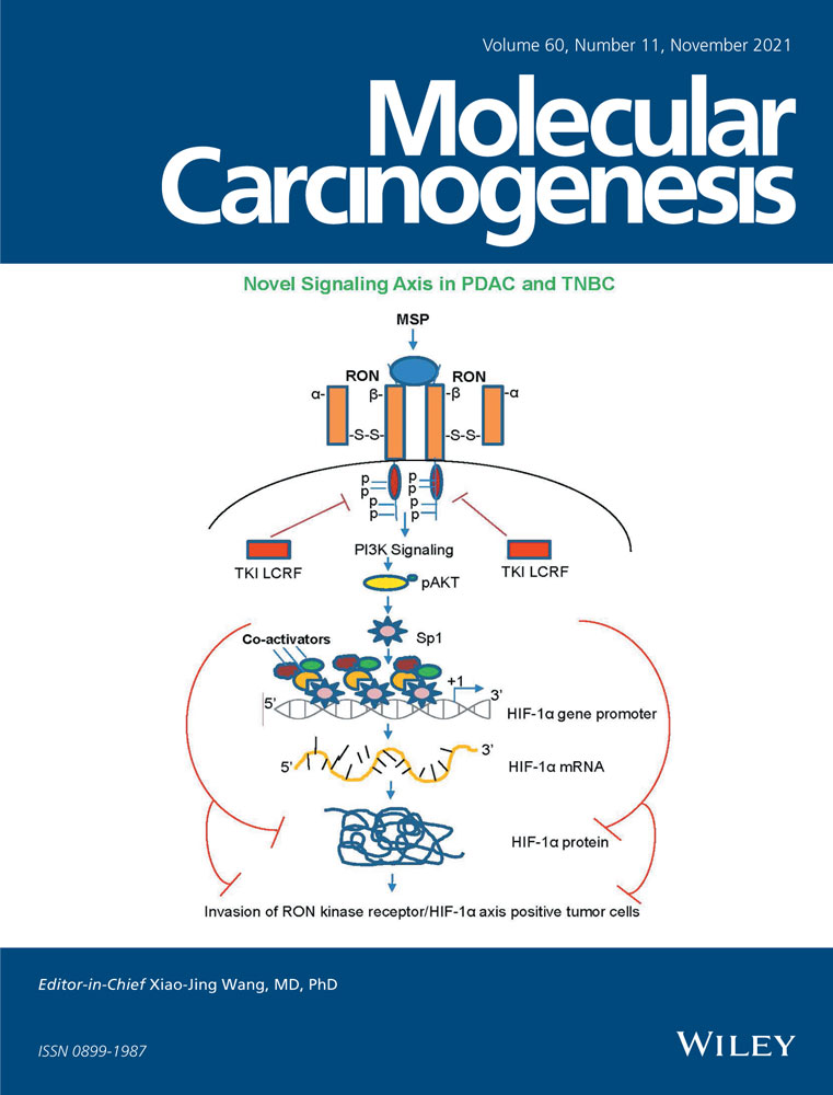 Low expression of lncRNA SBF2‐AS1 regulates the miR‐302b‐3p/TGFBR2 axis, promoting metastasis in laryngeal cancer