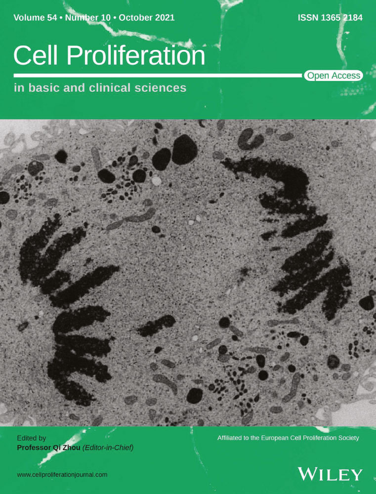 Requirements for human cardiomyocytes