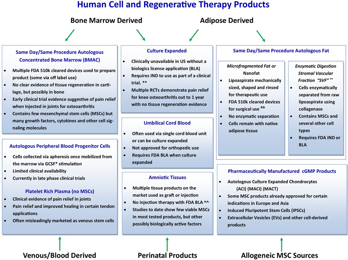 American Medical Society for Sports Medicine Position Statement: Principles for the Responsible Use of Regenerative Medicine in Sports Medicine