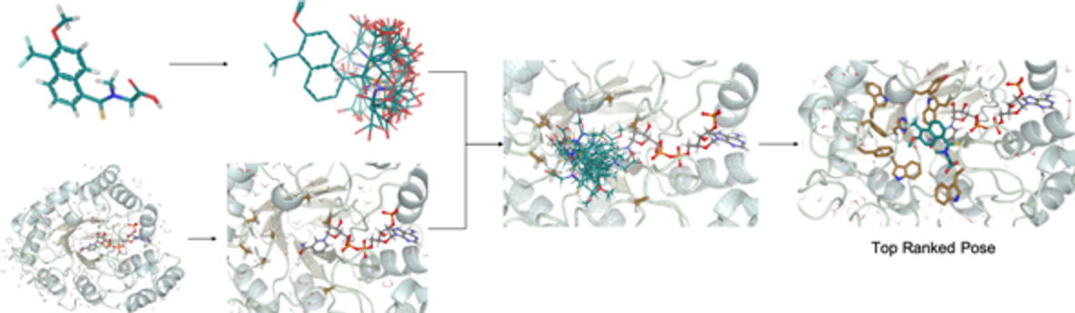 CIFDock: A novel CHARMM‐based flexible receptor–flexible ligand docking protocol