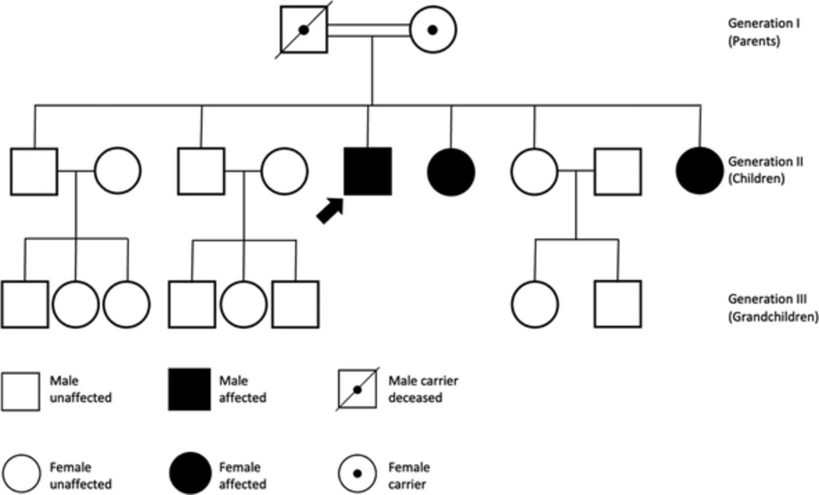 A curious case of asphyxiating thoracic dystrophy in an adult