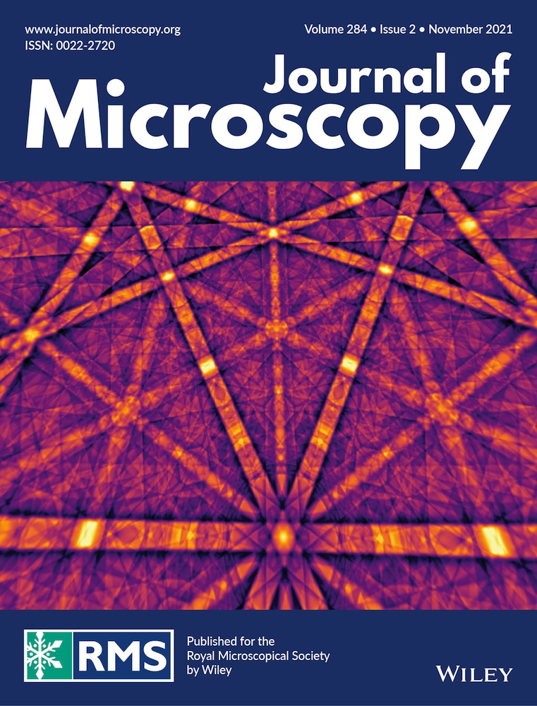 Fast 3D imaging of giant unilamellar vesicles using reflected light‐sheet microscopy with single molecule sensitivity