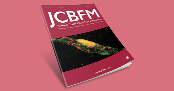 D* from diffusion MRI reveals a correspondence between ventricular cerebrospinal fluid volume and flow in the ischemic rodent model