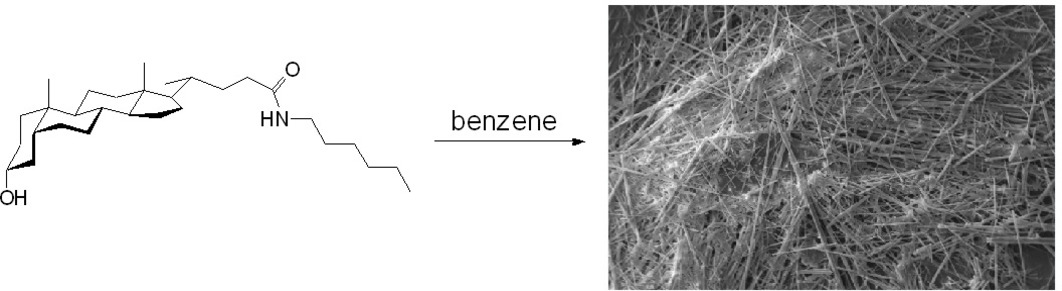 The Effect of the Side Chain on Gelation Properties of Bile Acid Alkyl Amides