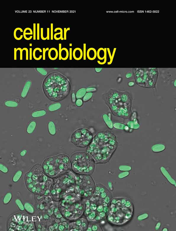 Vam6/Vps39/TRAP1‐domain proteins influence vacuolar morphology, iron acquisition and virulence in Cryptococcus neoformans