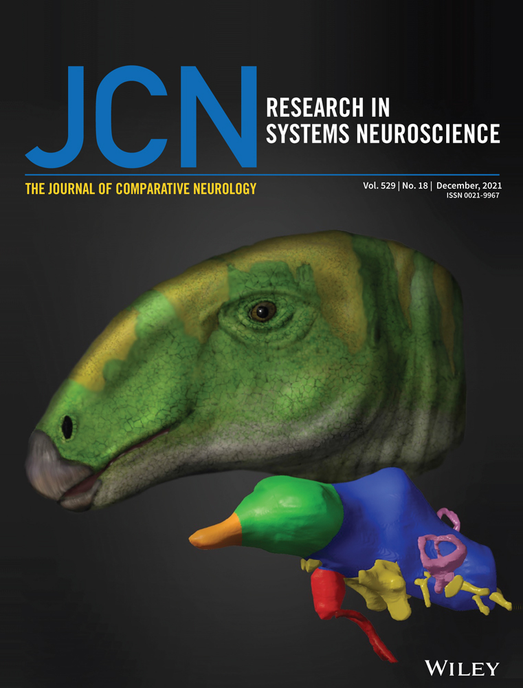 Developmentally regulated pathways for motor skill learning in songbirds