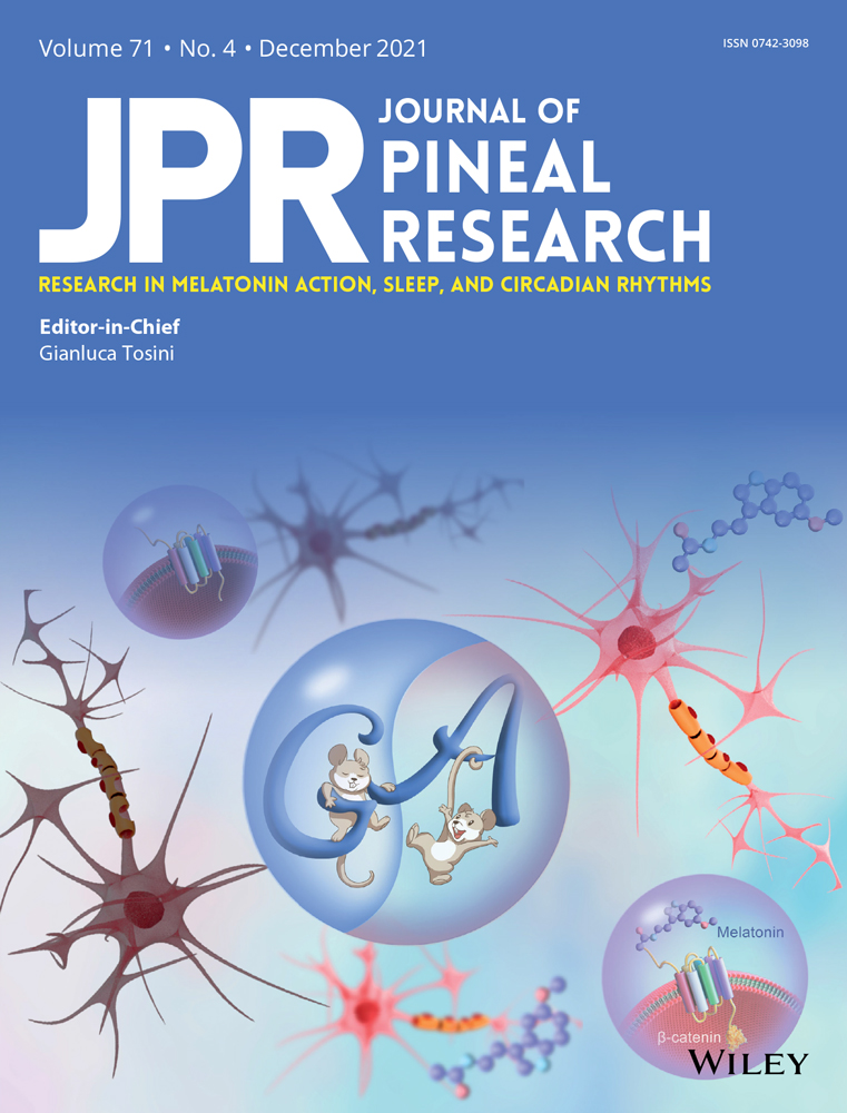 Melatonin induces apoptotic cell death through Bim stabilization by Sp1‐mediated OTUD1 upregulation