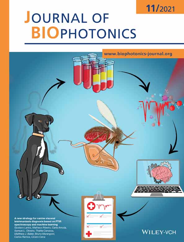 Multispectral label‐free Raman spectroscopy can detect ovarian and endometrial cancer with high accuracy