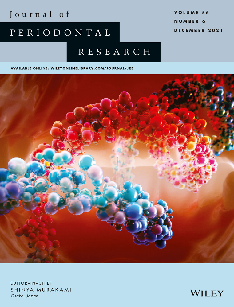 Human oral mucosa‐derived neural crest‐like stem cells differentiate into functional osteoprogenitors that contribute to regeneration of critical size calvaria defects