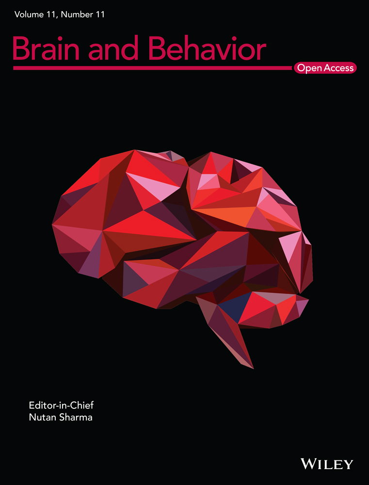 Global–local consistency benefits memory‐guided tracking of a moving target