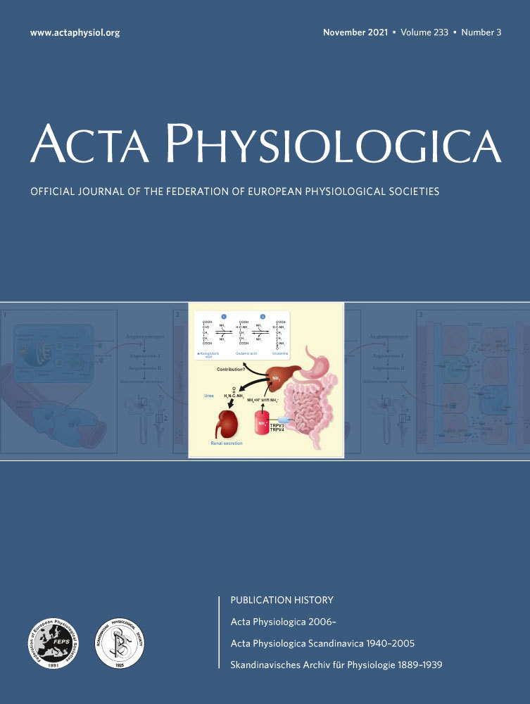 Diet, Muscle Glycogen and Physical Performance
