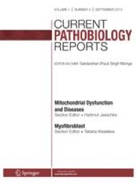 A Reflection on the Mechanism of the Role of Nanoparticles in Increasing the Efficacy of Anti-tumour Properties of Docetaxel