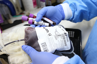 Changes in emergency department blood product use for major paediatric trauma following the implementation of a major haemorrhage protocol