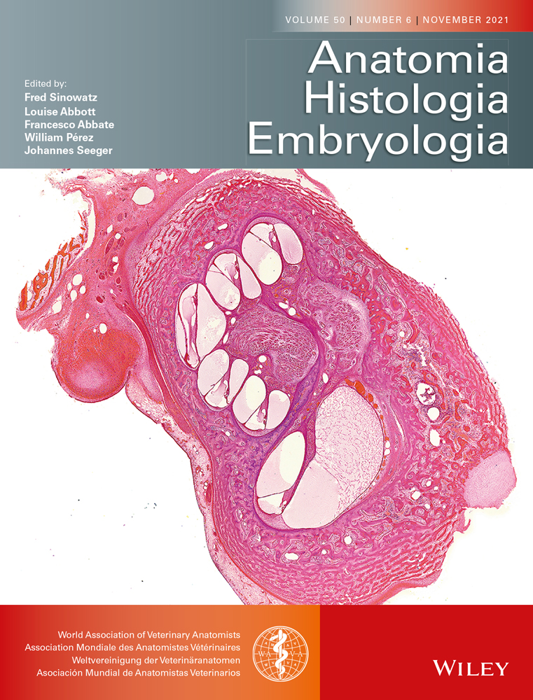 TLR2 and TLR4 molecules and antigen‐presenting cell compositions in cecal tonsils of broiler chicks (Gallus gallus domesticus) in the first two weeks of the post‐hatch period