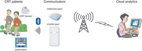 Safety and feasibility of a telemonitoring‐guided exercise program in patients receiving cardiac resynchronization therapy