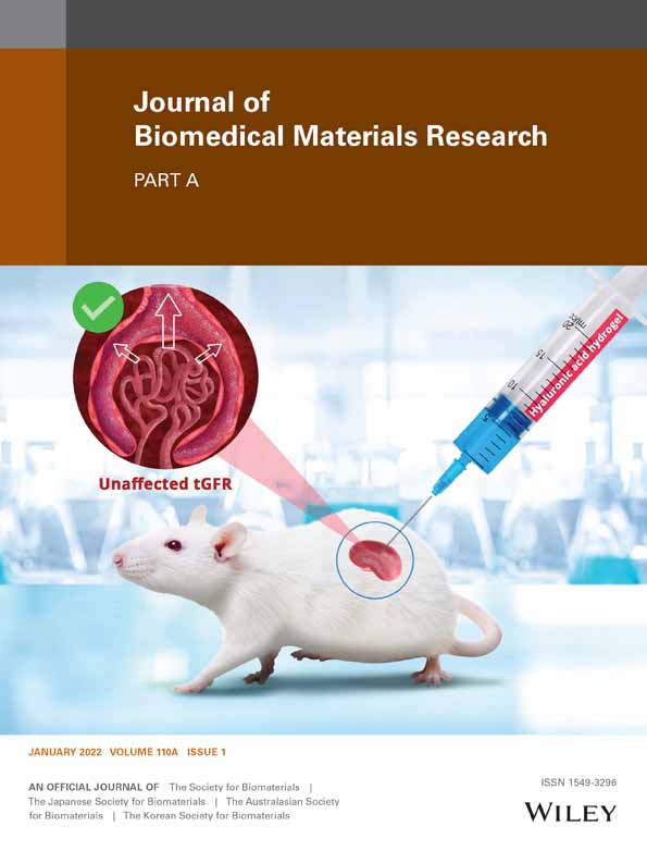 Effects of a novel self‐assembling peptide scaffold on bone regeneration and controlled release of two growth factors