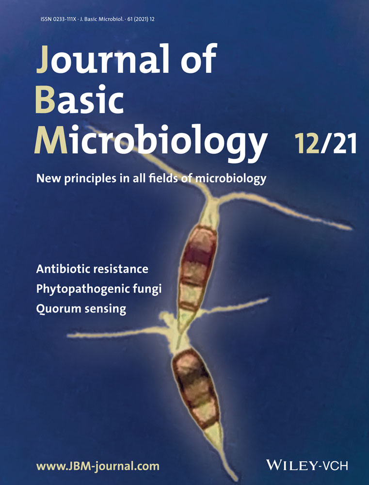 A new model for the formation of an Enterococcus faecalis endodontic biofilm with nutritional restriction