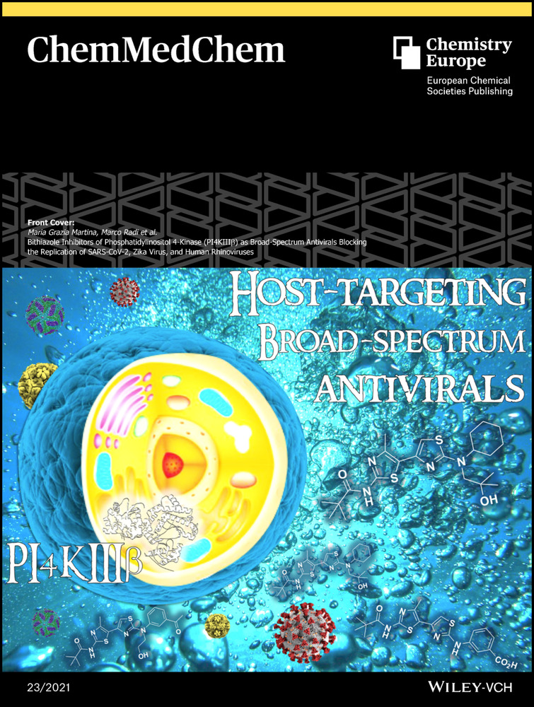 Evaluation of the correlation between porphyrin accumulation in cancer cells and functional porphyrin positions of the phenyl group