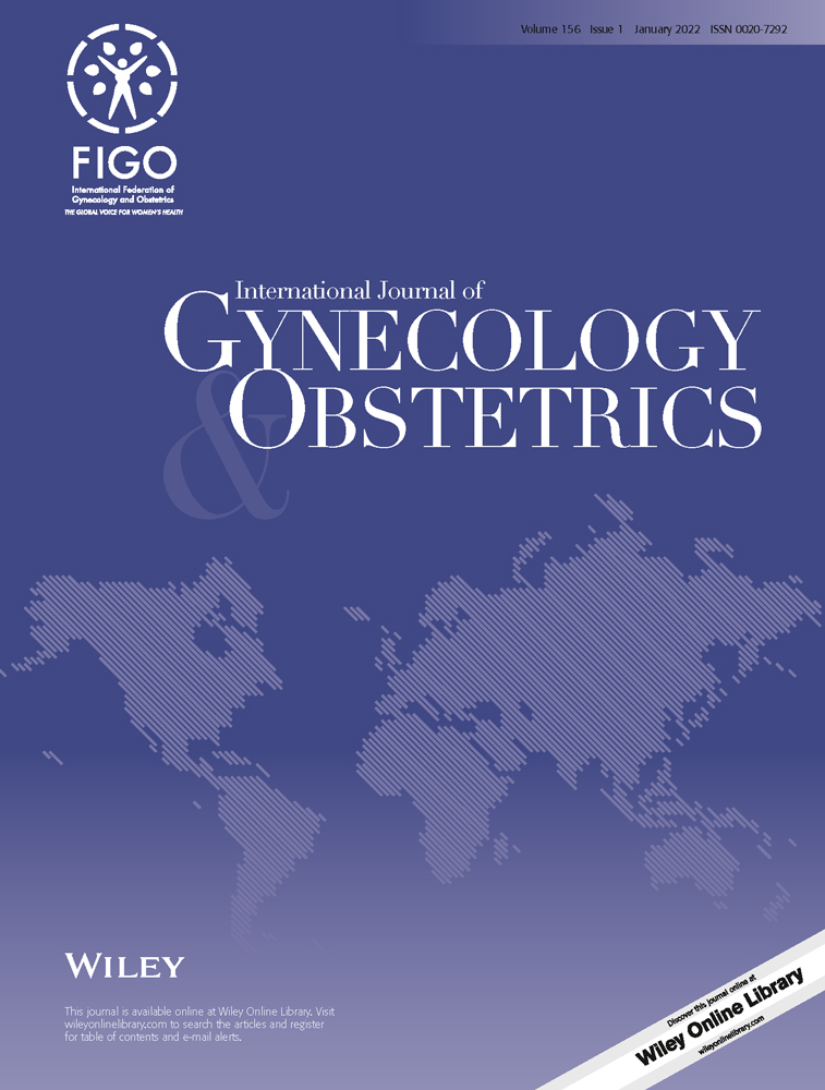Maternal mortality in Lebanon: Increased vulnerability among Syrian refugees