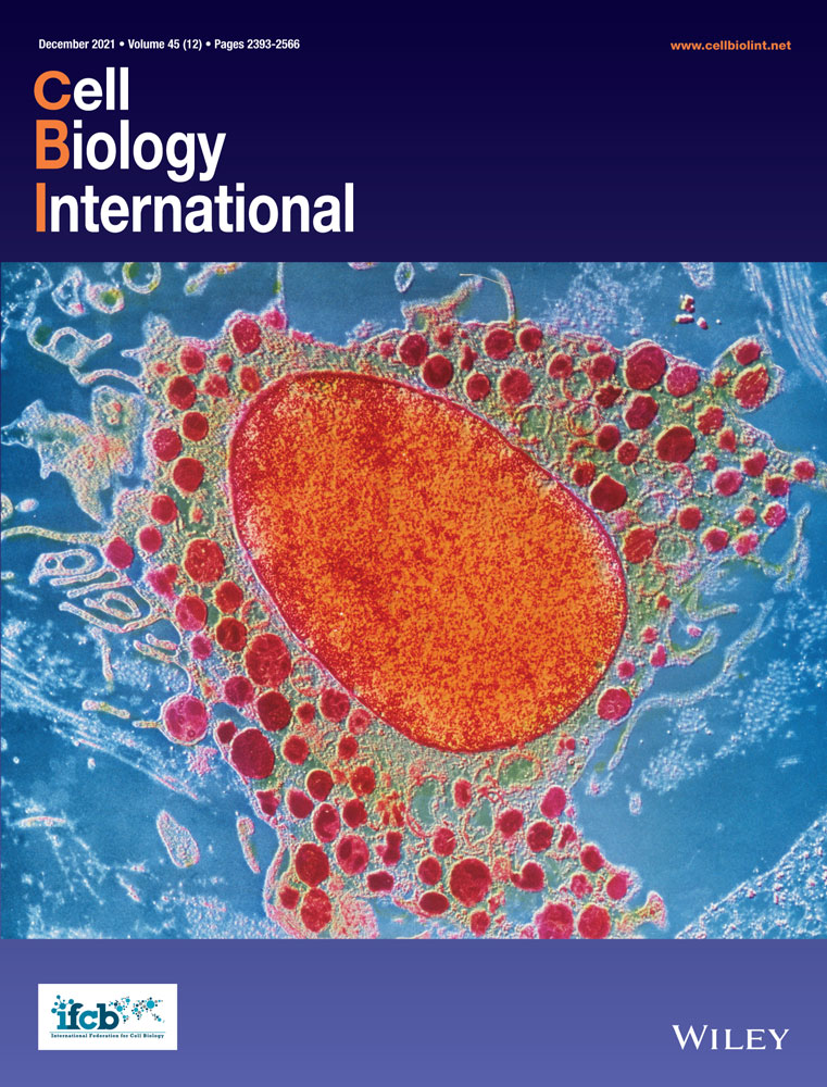 Research progress of Bub3 gene in malignant tumors