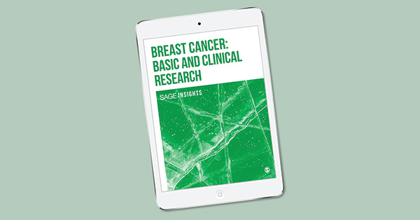 Ultrastructural Analysis of Inflammatory Breast Cancer Cell Clusters in an Ex Vivo Environment Mechanically Mimicking the Lymph Vascular System