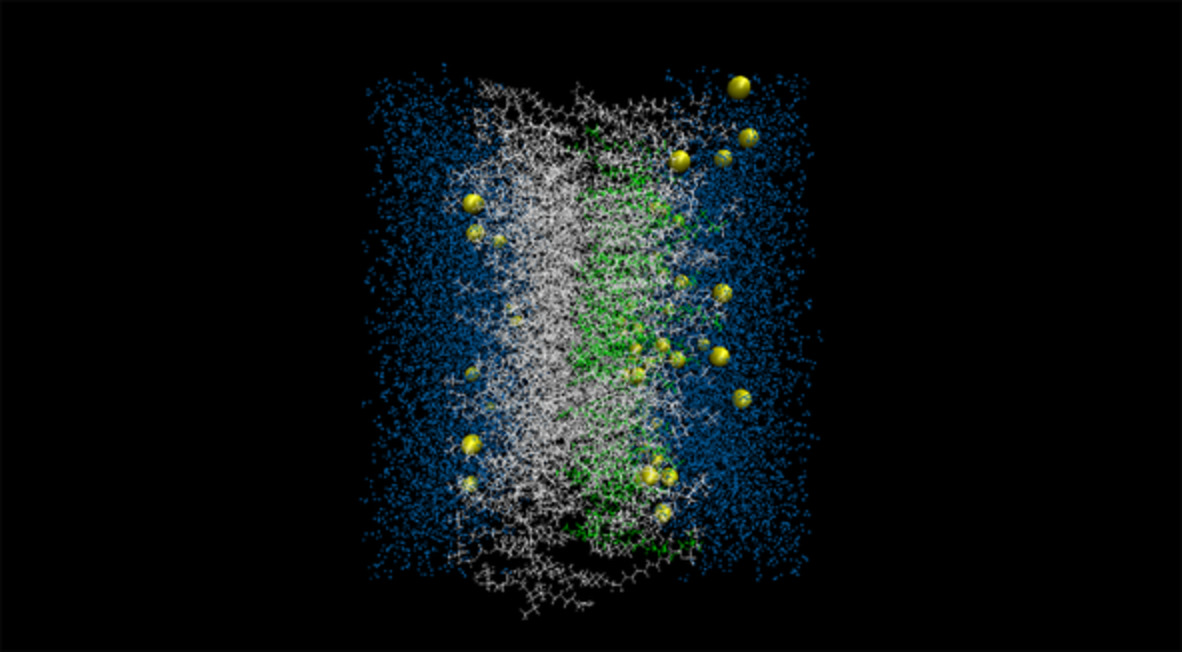 CellSys: An open‐source tool for building initial structures for bio‐membranes and drug‐delivery systems