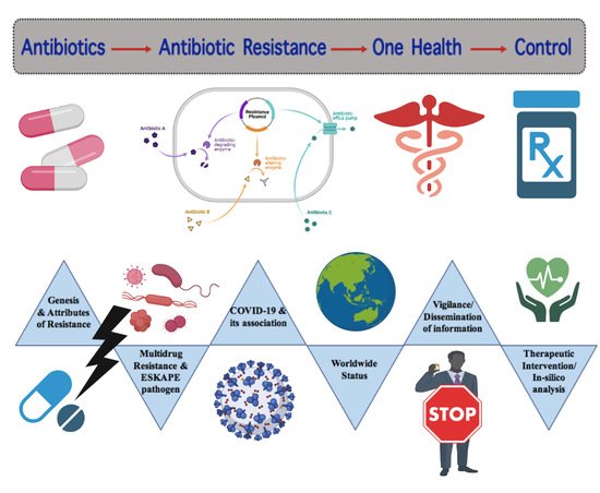 JoX, Vol. 11, Pages 197-214: Review on Multiple Facets of Drug Resistance: A Rising Challenge in the 21st Century