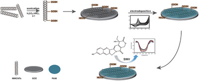 One‐step electrodeposition preparation of polyaniline/f‐MWCNTs as electrochemical sensors for detection of 10‐hydroxycamptothecine