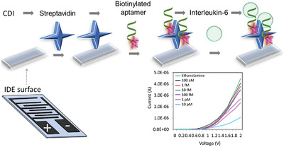 An interdigitated aptasensor to detect interleukin‐6 for diagnosing rheumatoid arthritis in serum