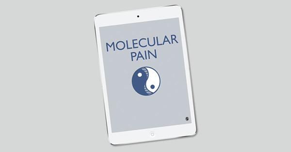 Inhibiting spinal secretory phospholipase A2 after painful nerve root injury attenuates established pain and spinal neuronal hyperexcitability by altering spinal glutamatergic signaling