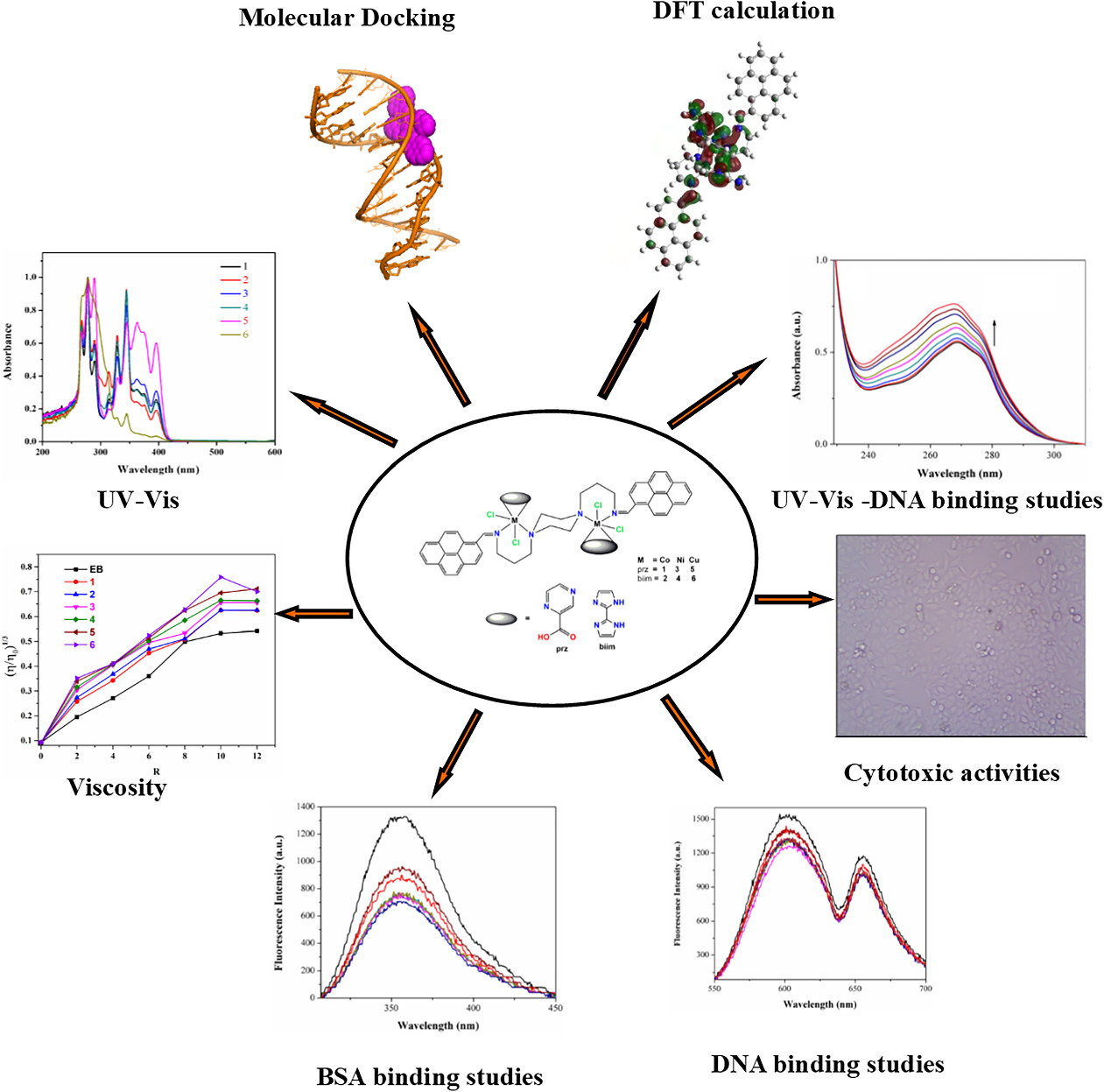 Influence of co‐ligand on the biological properties of Schiff base metal complexes: Synthesis, characterization, cytotoxicity, and antimicrobial studies