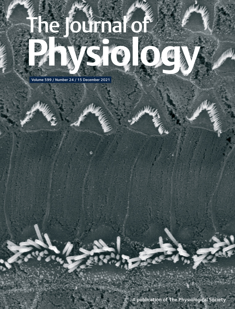 What gets on the nerves of cardiac patients? pathophysiological changes in cardiac innervation