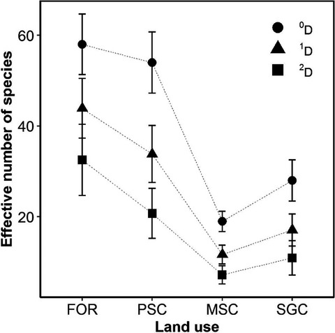 Rove beetle diversity and coffee agroecosystems in the Colombian Andes