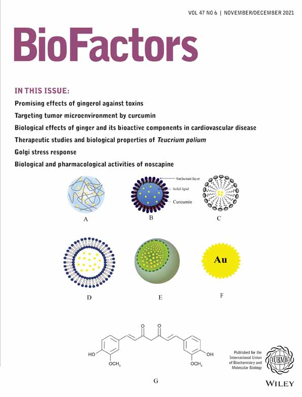 Naringenin protects swine testis cells from bisphenol A‐induced apoptosis via Keap1/Nrf2 signaling pathway
