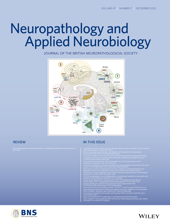 Intranuclear inclusions in skin biopsies are not limited to neuronal intranuclear inclusion disease but can also be seen in oculopharyngodistal myopathy