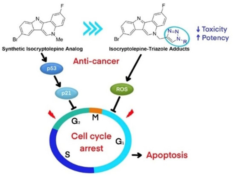 Synthesis of Isocryptolepine‐Triazole Adducts and Evaluation of Their Cytotoxic Activity