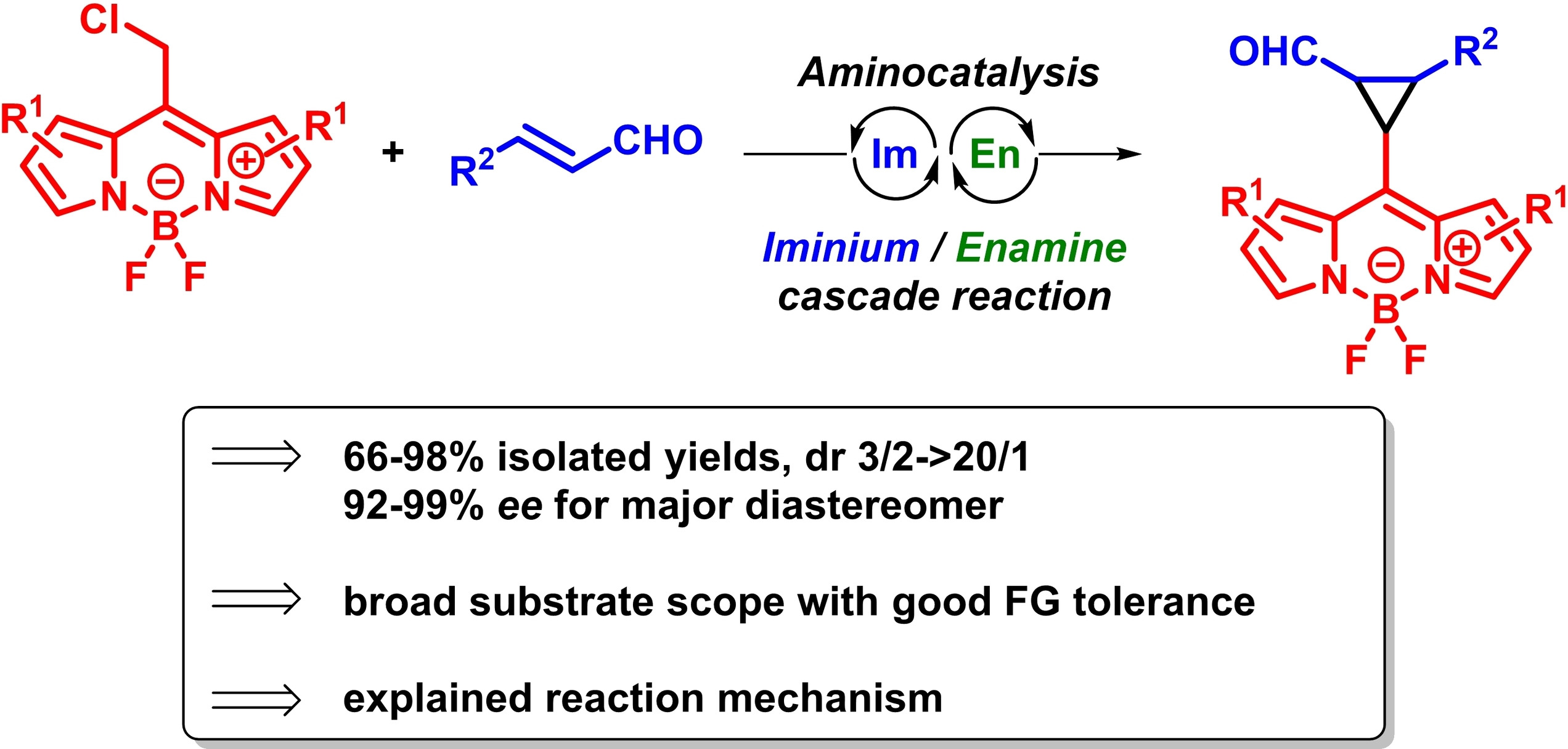 Stereoselective Cyclopropanation of Boron Dipyrromethene (BODIPY) Derivatives by an Organocascade Reaction