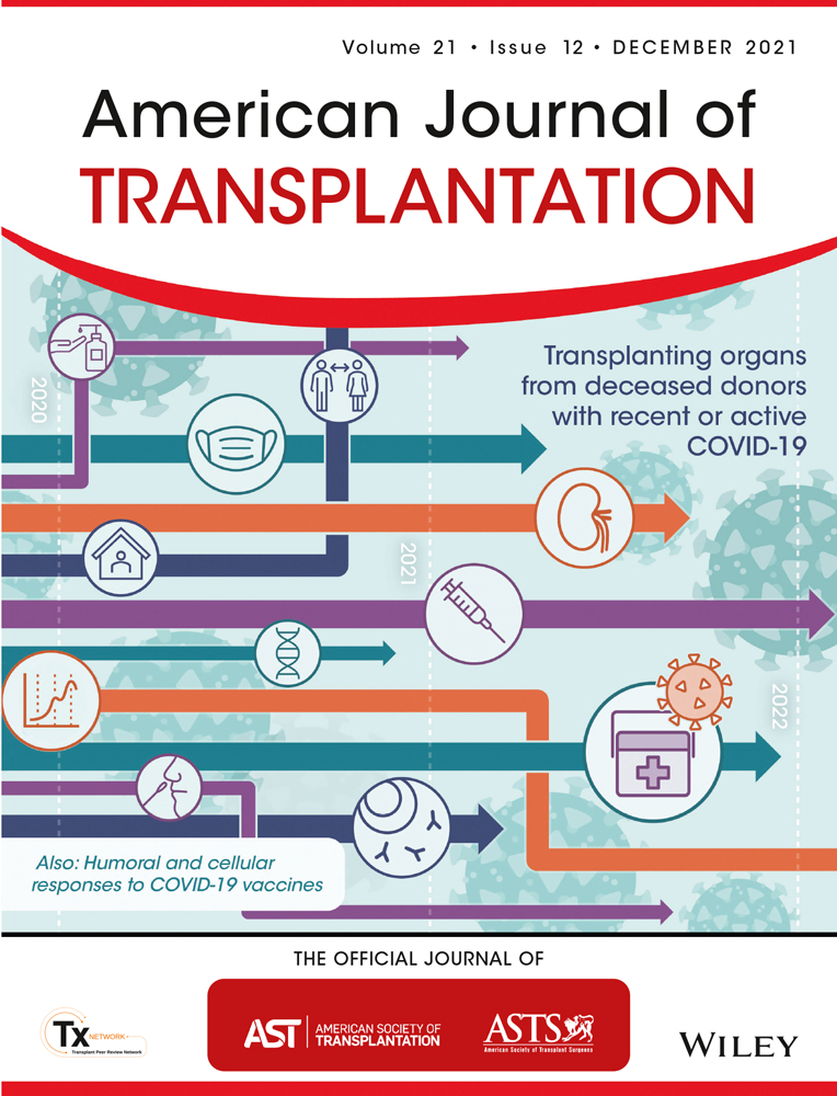 Transplantation of Bioengineered Liver Capable of Extended Function in a Preclinical Liver Failure Model