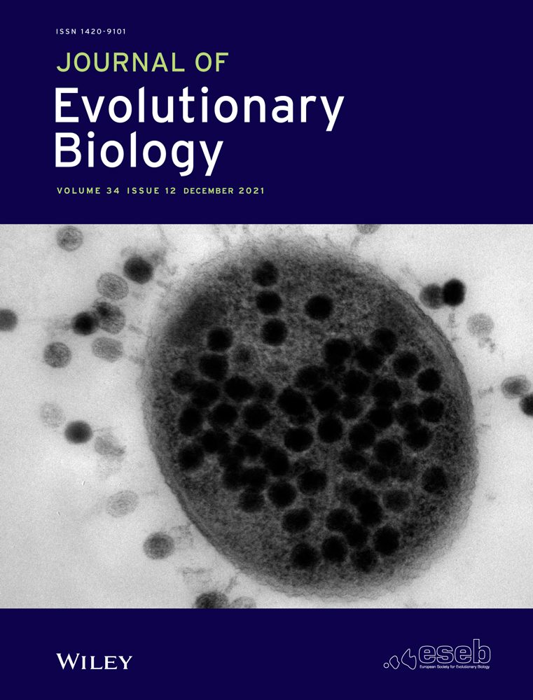 Cytoplasmic incompatibility in hybrid zones: infection dynamics and resistance evolution
