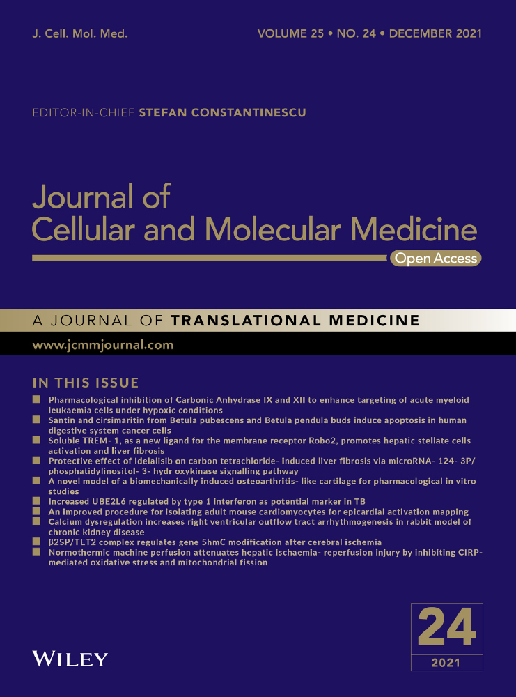The role of Cold‐Inducible RNA‐binding protein in respiratory diseases