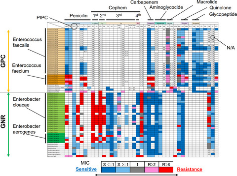 Intraoperative bile culture helps choosing antibiotics in pancreaticoduodenectomy: Mechanistic profiling study of complex rink between bacterobilia and postoperative complications
