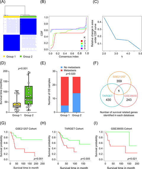 MCAM is associated with metastasis and poor prognosis in osteosarcoma by modulating tumor cell migration