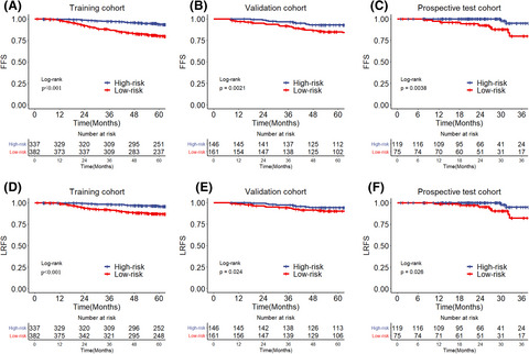 Development and prospective validation of a risk score model in guiding individualized concurrent chemoradiotherapy in stage II nasopharyngeal carcinoma in intensity‐modulated radiotherapy era
