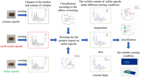 Roasting intervention for the volatile composition of three varieties of nuts originating from Torreya yunnanensis