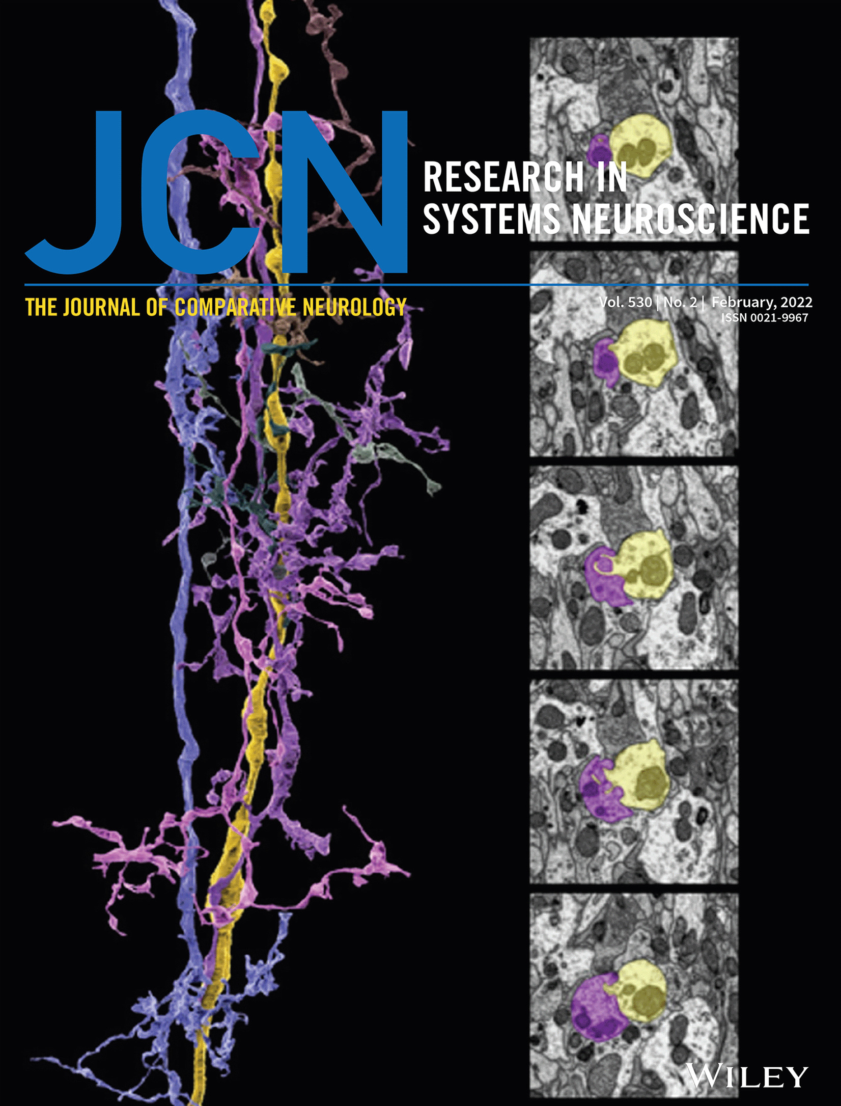 Cover Image, Volume 530, Issue 2